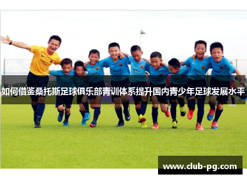 如何借鉴桑托斯足球俱乐部青训体系提升国内青少年足球发展水平
