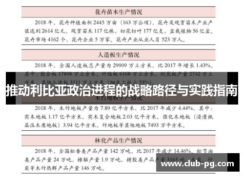 推动利比亚政治进程的战略路径与实践指南