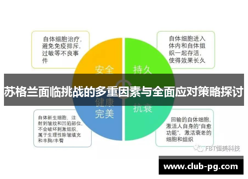 苏格兰面临挑战的多重因素与全面应对策略探讨